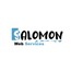 Salomon Web Services