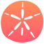 Sand Dollar Design