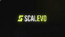 Scalevo