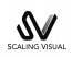 Scaling Visual