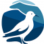 Seagull Software Development