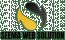 Seema Web Solution