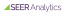 Seer Analytics