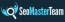 SEO Master TEam