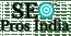 SEO Pros India