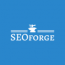 SEOforge - Paweł Zbiegień