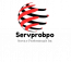 Service Professional BPO