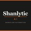 Shanlytic AI