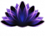 Shrine Studios 