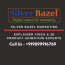 Silver Bazel