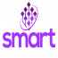 Smart Web Designers