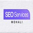 SSM-SEO Services Mohali