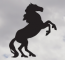 Stallion Transport