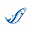 Steelhead Factoring