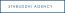Sthbuddhi Digital Marketing Agency