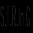 STRINGLAB TECHNOLOGY SOLUTIONS Pvt. Ltd.