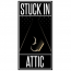 Stuck In Attic