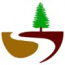 Sycamore (I) Consultancy Services