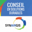Synairgis