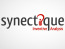 Synectique