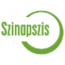 Szinapszis