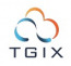 T G I X - IT Services and IT Consulting