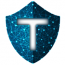 Tandem Cyber Solutions