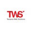 Tanzania Web Solutions