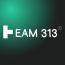 Team 313 Ltd