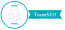 TeamSEO