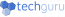 Techguru Inc
