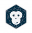 Techmonkey Ventures LLP