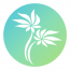 Technology Aloha