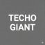 techogiant