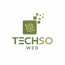 Techsoweb