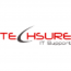 Techsure Ltd.