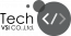 TechVSI