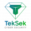 TekSek Cyber Security