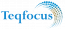 Teqfocus Consulting LLC
