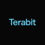 TeraBit