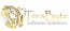 Terabyte Software Solutions
