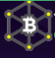 The Crypto Developer
