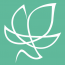 The Ivy Group