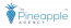  The Pineapple Agency