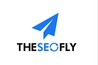 The SEO Fly