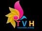The Visual House