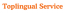 Toplingual Service