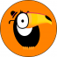 Toucan Insights
