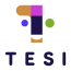 Transnational E-Business Solutions, Inc.