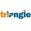 Triangle Mind Technologies Pvt. Ltd